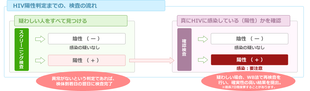陽性判定までの流れ