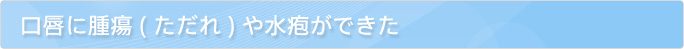 口唇に腫瘍(ただれ)や水泡ができた