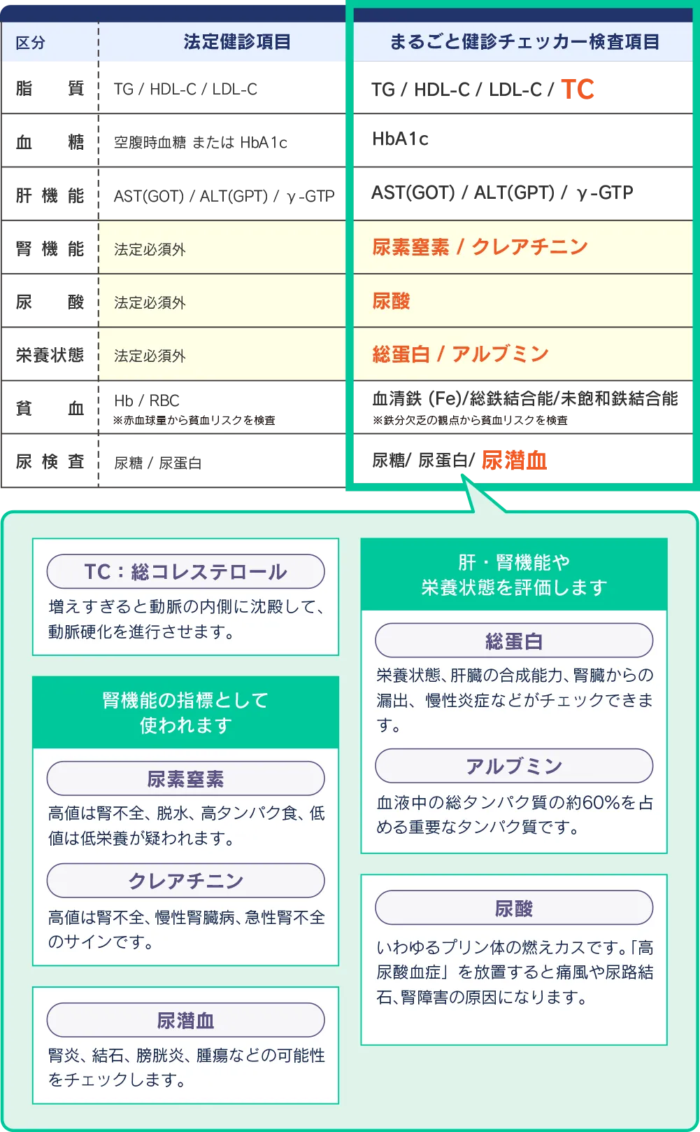 まるごと健診の＋αの検査項目（総コレステロール、尿素窒素、クレアチニン、総蛋白、アルブミン、尿酸）