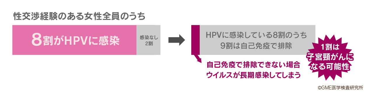 性交渉経験のある女性全員のうち8割がHPVに感染、感染なし2割。HPVに感染している8割のうち9割は自己免疫で排除。自己免疫で排除できない場合ウイルスが長期感染。1割は子宮頸がんになる可能性