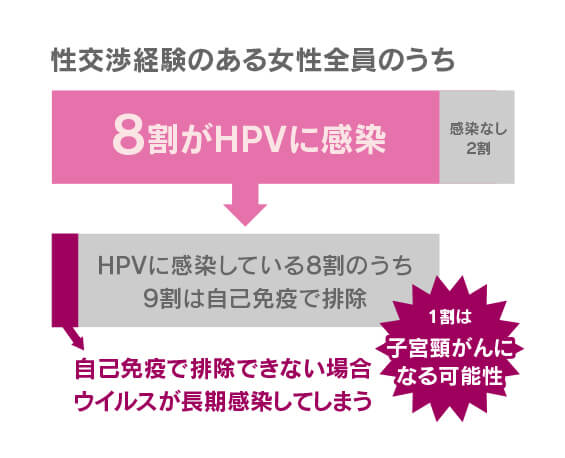 性交渉経験のある女性全員のうち8割がHPVに感染、感染なし2割。HPVに感染している8割のうち9割は自己免疫で排除。自己免疫で排除できない場合ウイルスが長期感染。1割は子宮頸がんになる可能性