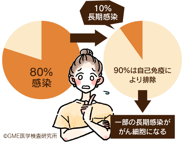 80%がHPVに感染。10%長期感染、90%は自己免疫により排除。一部の長期感染ががん細胞になる。