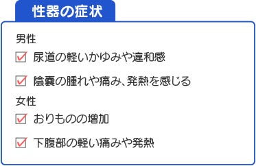 性器の症状/男性器、尿道の軽いかゆみや違和感、陰嚢の腫れや痛み、発熱を感じる・女性器、おりものの増加、下腹部の軽い痛みや発熱