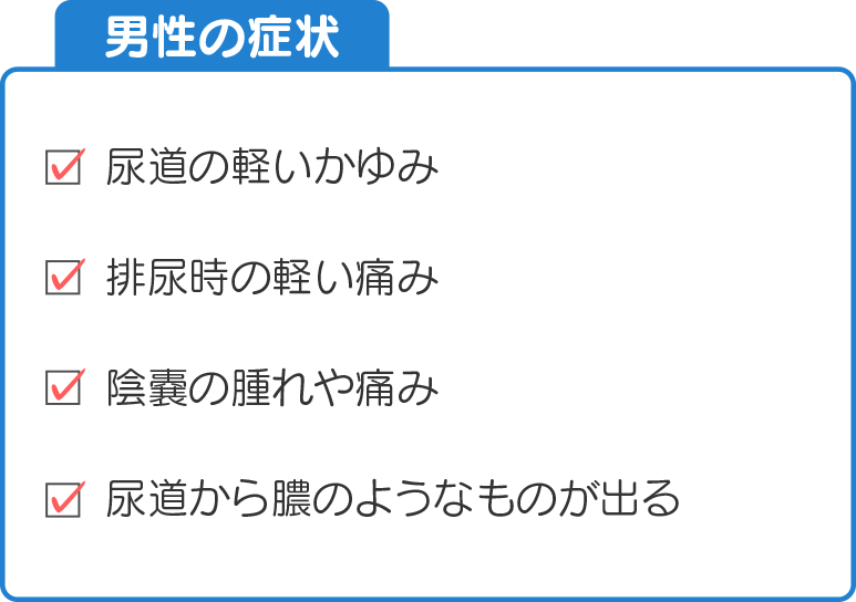 男性の症状。尿道の軽いかゆみ、排尿時の軽い痛み、陰嚢の腫れや痛み、発熱を感じる、尿道から透明な膿のようなものが出る