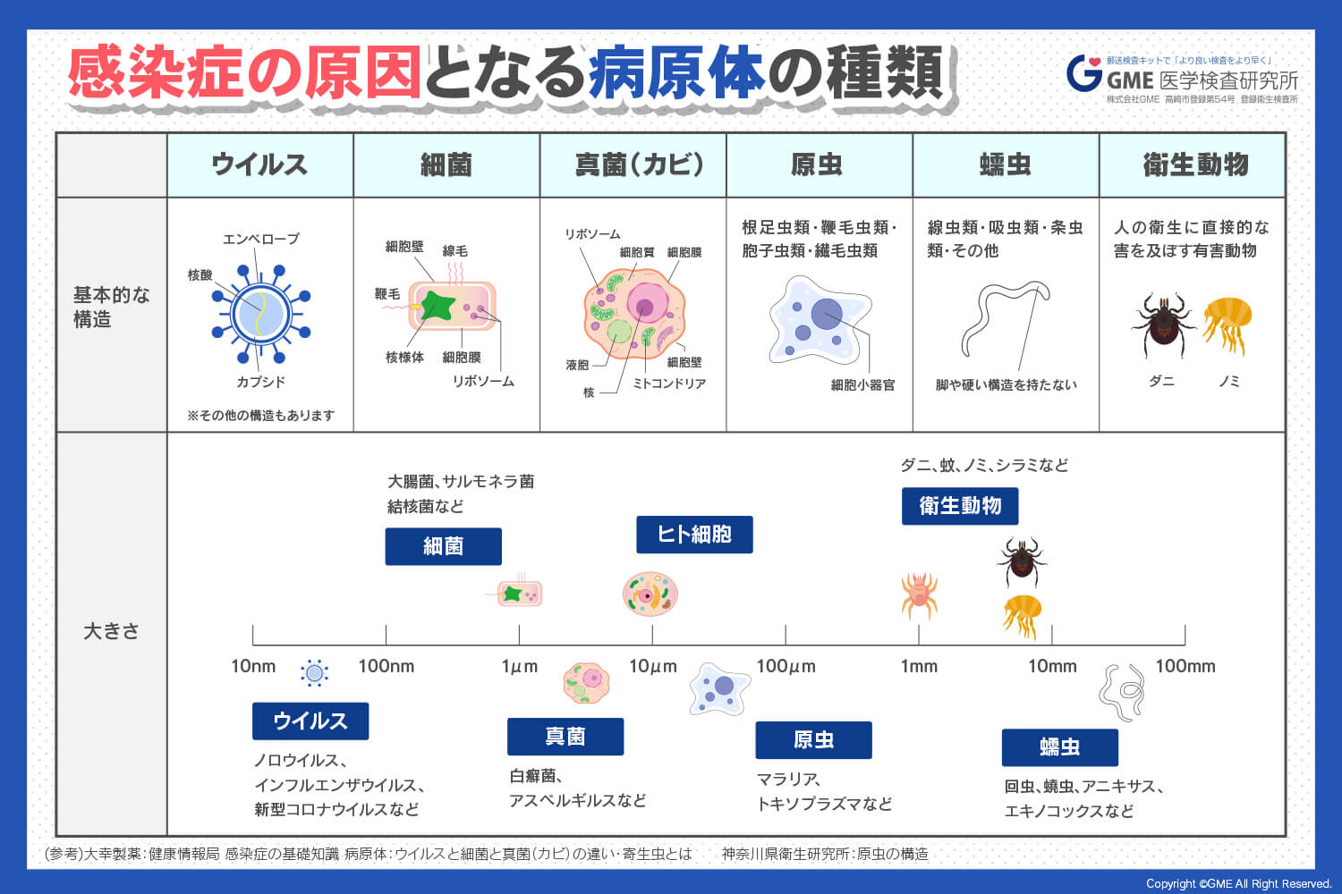ウイルス性肺炎と細菌性肺炎の比較