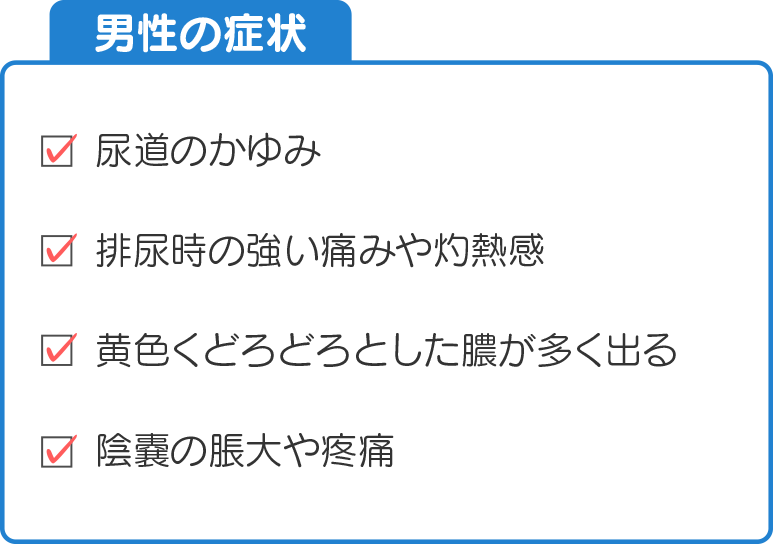 男性の症状。尿道のかゆみ、排尿時の痛みや灼熱感、黄色くどろどろとした膿が多く出る、陰嚢の脹大や疼痛