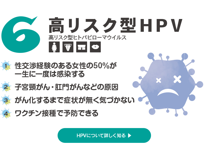 高リスク型HPV：性交渉経験のある女性の50％が一生に一度は感染する、子宮頸がん・肛門がんなどの原因、がん化するまで症状が無く気づかない、ワクチン接種で予防できる