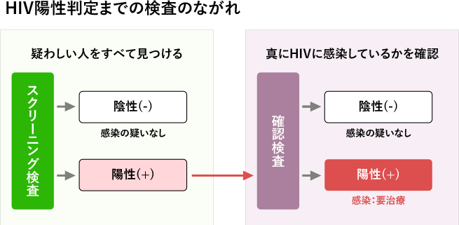 HIV陽性判定までの検査のながれ