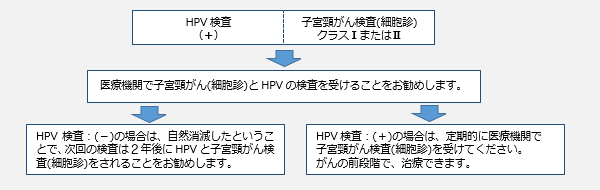 検査 hpv ヒトパピローマウイルス（HPV）検査とHPV感染予防ワクチン －婦人科－｜KOMPAS