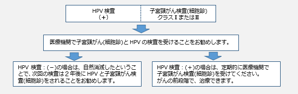 Hpv 検査