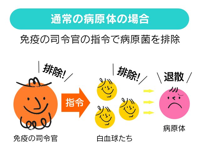 通常の病原体の場合、免疫の司令官の指令で病原菌を排除