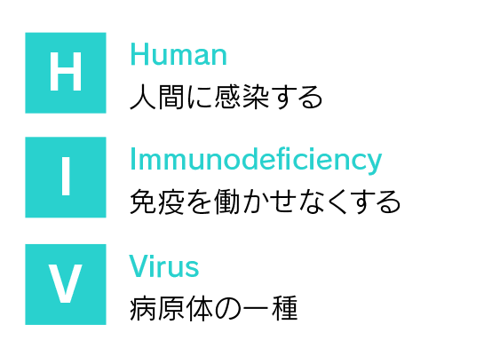 Human人間に感染するImmunodeficiency免疫を働かせなくするVirus病原体の一種