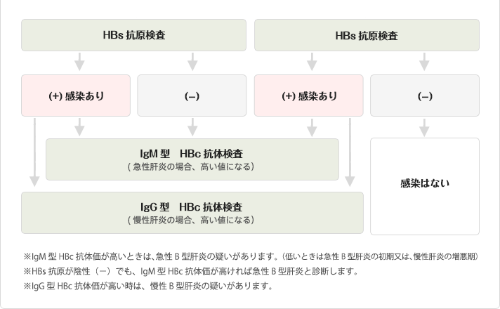 肝炎 ウイルス 検査