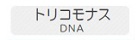 トリコモナスDNA
