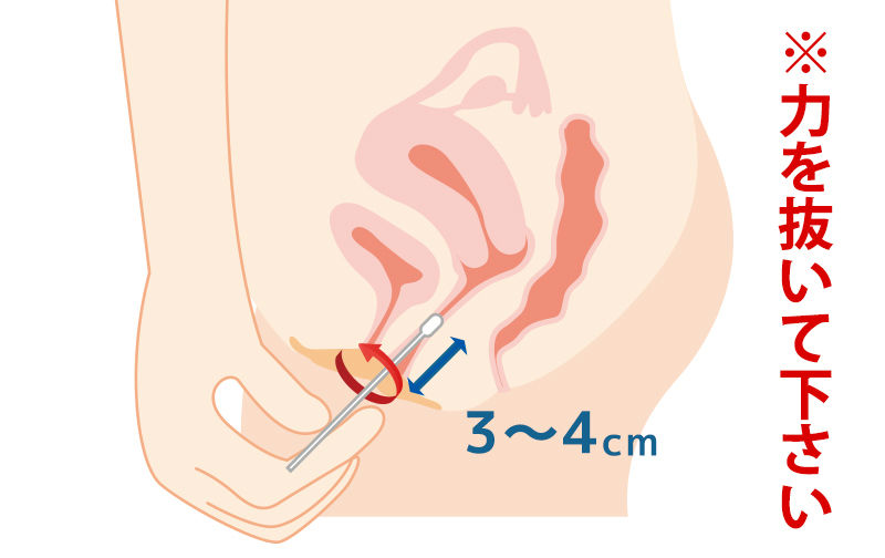膣分泌物の採取方法2を画像でご説明 Gme医学検査研究所 膣分泌物の採取方法2を画像でご説明 Gme医学検査研究所