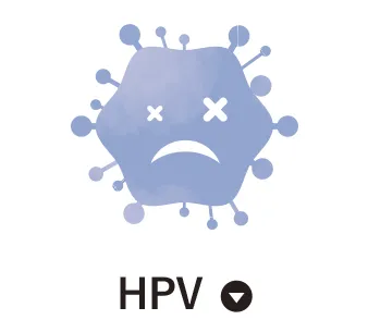 HPV