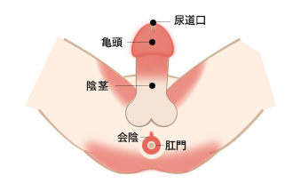 陰部 ヘルペス 早く 治す 方法