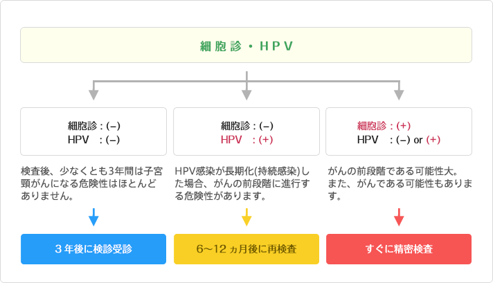 ヒトパピローマウイルス(HPV)(高リスク型) - 郵送検査のGME医学検査研究所